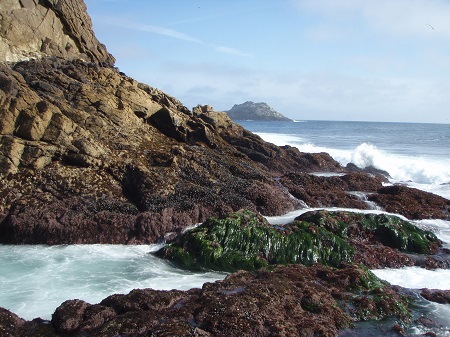 farallon island rodenticide farallon island rodenticide